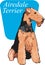 Airedale Terrier Vector Illustration