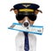 Airline pilot flight attendant check in ticket