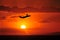 Airliner Flying Into Tropical Sunset