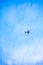 Airplan flies in a blue sky
