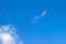 Airplane in the blue sky. Airliner is gaining altitude. White cloud in the blue sky in which the plane flies.