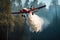 Airplane firefighting of forest wildfire. Dangerous Ecological Emergency.
