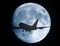 Airplane flies in front of the moon