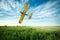 airplane flies over a wheat field spraying fungicide and pesticide