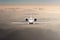 Airplane fly over clouds and Alps mountain on sunset. Front view of a big passenger or cargo aircraft, business jet