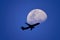 An airplane flying across a moon or Passenger plane - airliner passes near the moon. Explore new frontier. Space traveler concept