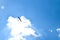 Airplane flying in the blue sky on background of white clouds, rear view. Twin-engine commercial plane during the turn, vacation