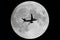 Airplane and a full moon