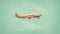 Airplane Illustrated By Oliver Jeffers