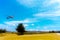 Airplane Landing at Phuket International airport in sunny day