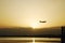 Airplane over Tunis Lake at sunset