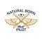 Airplane pilots crew icon, plane propeller, wings