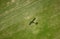 Airplane shadow on green field