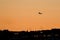 Airplane silhouette at sunset.