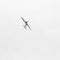 Airplane in the sky. Minimalism. Aerobatics figure. White square