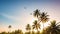 An airplane soaring over palm trees in a clear, sun-filled sunset sky