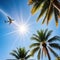 An airplane soaring over palm trees in a clear, sun-filled sunset sky