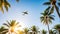 An airplane soaring over palm trees in a clear, sun-filled sunset sky