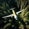 airplane soars very low over the lush forest trees, offering a breathtaking aerial adventure