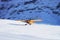 Airplane at Swiss Alpine mountain Mannlichen in winter