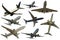 Airplanes collection isolated