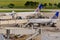 Airplanes on the ramp at Houston International Airport