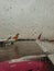 Airport , Aircrafts,  view out of the plane , raining,  rainy