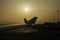 Airport Landscape on Backlight At Sunrise in a Foggy Sunrise on Blur Background