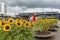 Airport square with sunflowers and travellers at t