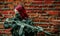 Airsoft red-hair woman in uniform with machine gun. Closeup soldier beside brick wall