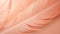 airy feathers of light peach color, Peach Fuzz trend 2024, banner, poster, copy space