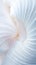 airy pearl white fabric similar to a seashell in soft diffused light