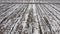 Airy view of winter apple orchards covered with snow. Summer agrocultures in winter