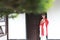 Aisa Chinese opera woman.Peking Beijing Opera in the garden outdoor china traditional costume bride
