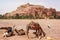 Ait Benhaddou Kasbah in Morocco