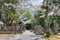 Aizu cemetery at Konkaikomyo-ji Temple in Kyoto, Japan. The graves of Aizu clan warriors, who were