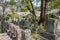 Aizu cemetery at Konkaikomyo-ji Temple in Kyoto, Japan. The graves of Aizu clan warriors, who were