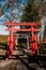 Aizu Wakamatsu Tsuruga Jo Castle Inari shrine red Torii. Fukushima - Japan