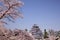 Aizuwakamatsu Castle and cherry blossom