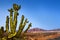 Ajaches mountain in Playa Blanca Lanzarote