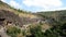 Ajanta caves