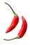 Aji Brazilian Bonanza peppers, paths