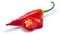 Aji Cristal chile-Capsicum baccatum, paths