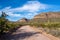 Ajo Mountain Drive, an unpaved dirt road through Organ Pipe Cactus National Monument. Sagurao cactus line the road