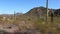 Ajo Mountain Drive, an unpaved dirt road through Organ Pipe Cactus National Monument. Sagurao cactus line the road. USA, Arizona