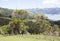 Akaroa Countryside Landscape