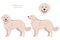 Akbash dog longhaired clipart. Different poses, coat colors set