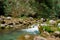 AKCHOUR, CHEFCHAOUEN, MOROCCO - Sep 01, 2018: Spring of fresh water passing through a valley and oleander trees in the mountains