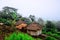 Akha homestays located on a hillside covered with fog at Doi Sa Ngo , Chiang Rai , Thailand