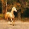 Akhal-Teke horse